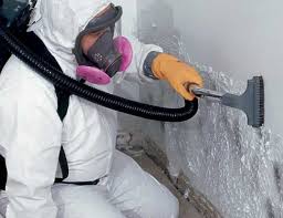 Best HVAC Mold Inspection and Cleaning in Edinburg, IL